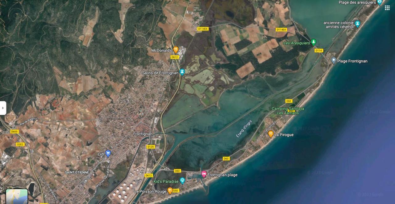 La Perle Bleue, 100 M De La Plage, Parking, Wifi Frontignan Εξωτερικό φωτογραφία